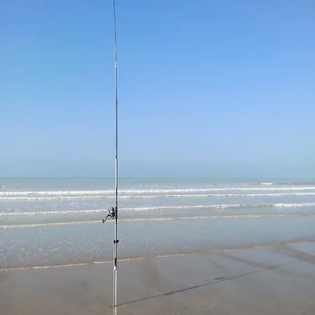 L'essentiel אולט